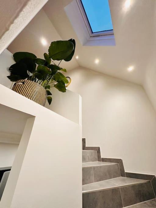 Superbe Maison A Proximite Du Centre De Strasbourg Bischheim 外观 照片